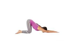 Extended Puppy Pose Puppy Pose Puppy Pose Yoga Yoga Journal