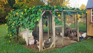 Chicken Run Ideen Einfach Schatten Und Wind Block In 2020 Chicken Garden Chicken Coop Garden Pet Chickens