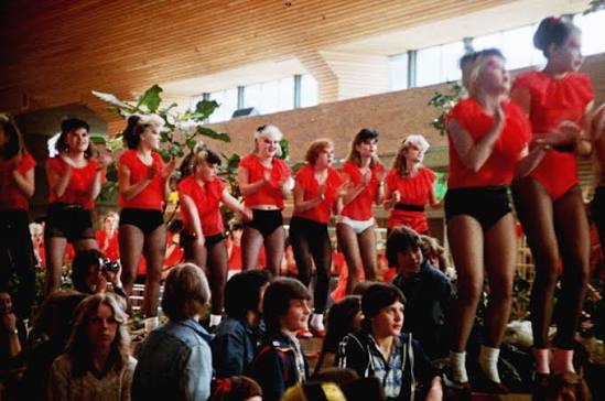 Ladies and Gentlemen the Fabulous Stains | 4Columns