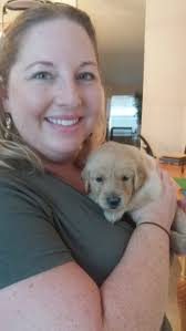 Maybe you would like to learn more about one of these? Golden Retriever Puppies For Sale Gainesville Fl 284264