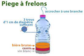 Que faire avec des bouteilles en plastique. Realisez Un Piege Contre Les Frelons Asiatiques Pour Proteger Les Abeilles