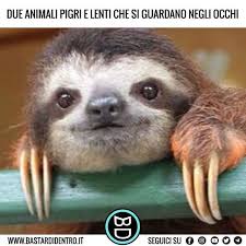 Check out bradipo1999's art on deviantart. Pin Su E Ridiamo Un Po