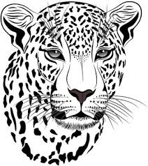 Free Free 266 Snow Leopard Svg SVG PNG EPS DXF File