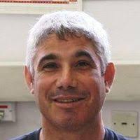 PDF) Geometrically nonlinear analysis of shell structures using a flat  triangular shell finite element