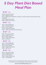 Plant Based Diet On A Budget For Beginners Momma Fit Lyndsey Plant Based Meal Planning Plant Diet Plant Based Diet Meal Plan