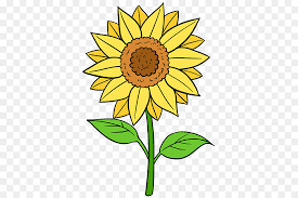 Kalau ini adalah gambar lukisan bunga matahari dengan kuas, cat air atau alat sejenisnya. Gambar Umum Bunga Matahari Lukisan Gambar Png
