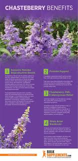 Chasteberry can help improve a range of pms symptoms from moodiness to bloating. Chasteberry Benefits Dosage Side Effects Bulksupplements Com