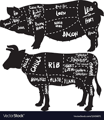 beef diagram wiring diagram