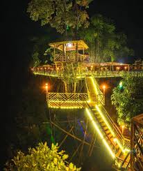  Pin Oleh Mba Aqilah Di Pemandangan Rumah Pohon Tempat Tujuan Wisata Habitat