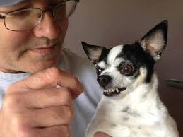 Ohhhh please like me.