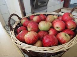 Wann ist der richtige zeitpunkt (monat), um dies zu tun? Obstbaume Auf Dem Balkon Richtig Giessen Lowenzahn Verlag