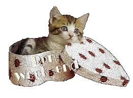 RÃ©sultat de recherche d'images pour "gif anime bon weekend chaton"