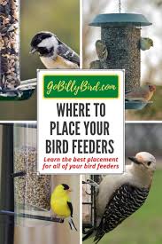 Shop bird baths to create joy at home. Where To Place Your Bird Feeders Best Bird Feeders Bird Feeders Backyard Birds