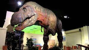 Maybe you would like to learn more about one of these? Dinosaur Journey T Rex Youtube