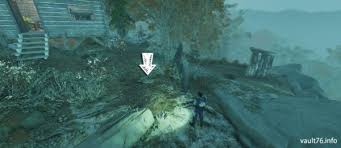 Fallout 76 宝の地図 Fallout 76 サバイバルガイド ぬかキャン
