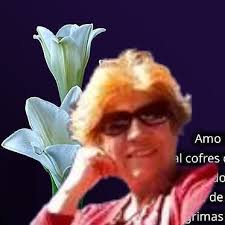 El Sueño de los Ruiseñores: Poesía de Luisa Gomezcoello: Gomezcoello, Luisa,  Barba, Francela, Cobo, David: 9789942364289: Books