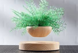 Spice Up Any Space With The Levitating Fern This Unusual Decoration Needs No Soil Or Water It Draws Enough Moisture From Decoracao De Casa Decoracao Jarros