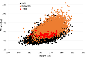 allometric scaling of weight to height and resulting body