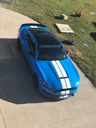 Ford Mustang Shelby Gt350R 2015 - 2020 - Grabber Blue - Black Stripes