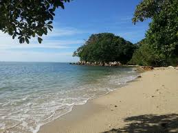 Tanjung tuan forest reserve is a wildlife sanctuary filled with patches of mangrove swamps and hidden beaches. 15 Best Things To Do In Port Dickson Ultimate Guide