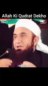 Tanzeem-e-Islami (Islamic Organization) تنظیم اسلامی