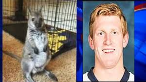 U-M hockey player accused of trying to sell baby wallaby online