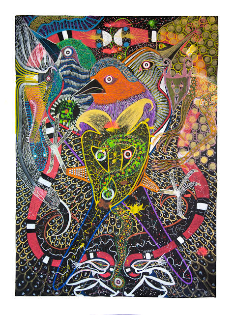Work by Jaider Esbell