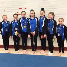 Profile for Fort Henry Gymnastics Club
