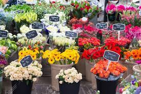 Check spelling or type a new query. Flowers For Sale At Dutch Flower Market Amsterdam The Netherlands Stock Photo Picture And Royalty Free Image Image 58555043