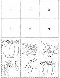 Pumpkin Life Cycle Sequencing Activity Pumpkin Life Cycle Kindergarten Life Cycles Kindergarten Fall Kindergarten