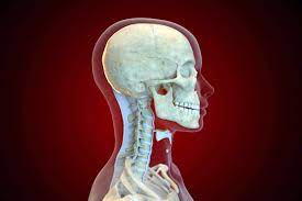This helps to break down the vast amount of content into smaller, logical chunks that will help. The Multiple Meanings Of The Term Cervical
