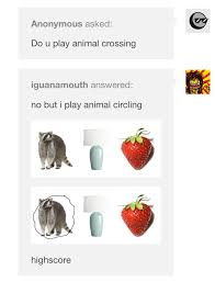 Animal Crossing Animal Circling High Score Lol Animal Crossing Memes Animal Crossing Funny Animal Crossing