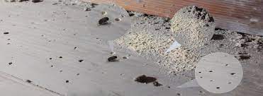 Pest droppings are the one of easiest way to find about the pest infection. Signs Of A Woodworm Infestation