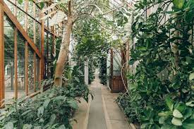 Exploring Cambridge Botanical Gardens Near Me Botanical Gardens Garden Nursery