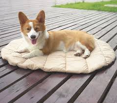 Buy Outdoor Packable Lightweight Pet Mat | Foldable Waterproof Dog Blanket  | Dog Cushion for Camping Online in India - Etsy