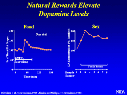 Levels Of Dopamine That You Get From Food Sex And Drugs