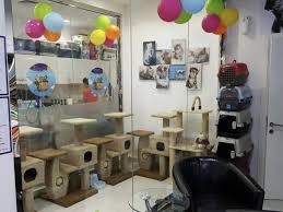Check spelling or type a new query. The Biggest Pet Shop In Dubai Buy Pet Supplies In Dubai Abu Dhabi Uae Dog Food Cat Food And More Best Prices Guaranteed Pet Sky
