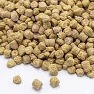 3,826 likes · 53 talking about this · 350 were here. Agriprotein Bio Sojakuchen Und Bio Ol