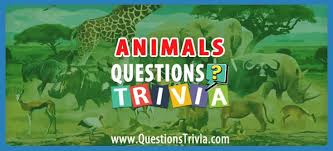 We're about to find out if you know all about greek gods, green eggs and ham, and zach galifianakis. Animal Trivia Questions And Quizzes Questionstrivia Trivia Trivia Questions For Kids Trivia Questions