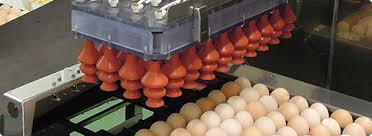 Hi, we are nabel asia sdn bhd in ,we main products/service:egg graders,labellers,packers,washer machinery. Nabel Co Ltd