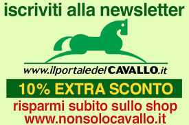 Libera nel vento, A cavallo verso Santiago di Compostela. Un viaggio come  un romanzo, di Dino Marchese