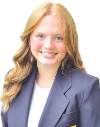 North Branch mayor now target of code of conduct complaint