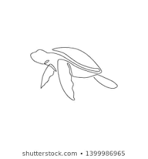 Sea Turtle Line Art Stock Illustrations Images Vectors Shutterstock Line Art Tattoos Line Art Design Line Art 0.6 in / 1.5 cm (width) this temporary tattoo is: pinterest