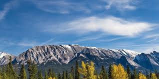 With all its gardens, victoria is bloomin' pretty. Cowichan Valley Bc Best Places To Visit In British Columbia In 2021