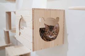 Wall mounted cat shelf climbing perch wood floating hanging shelves post. The Seven Best Cat Shelves Is That Your Cat