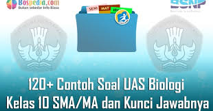 Soal ini bisa digunakan sebagai latihan dalam menghadapi ujian akhir semester 1 mata pelajaran pkn untuk kelas 10 sma/ma. Lengkap 120 Contoh Soal Uas Biologi Kelas 10 Sma Ma Dan Kunci Jawabnya Terbaru Bospedia