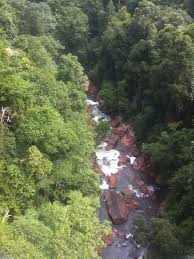 Langat (hamirdin 2008) kemudian melanda kedah. Pencemaran Bau Sungai Selangor 2019 Wikipedia Bahasa Melayu Ensiklopedia Bebas