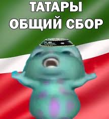images?q=tbn:ANd9GcQGG8wqDoI7dSQncN0aSeT