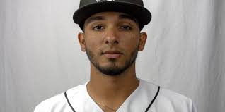 Arauz's homer give Woodpeckers split against Potomac