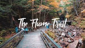 Franconia notch state park new hampshire. The Flume Trail Franconia Notch State Park New Hampshire Cinematic Video Youtube